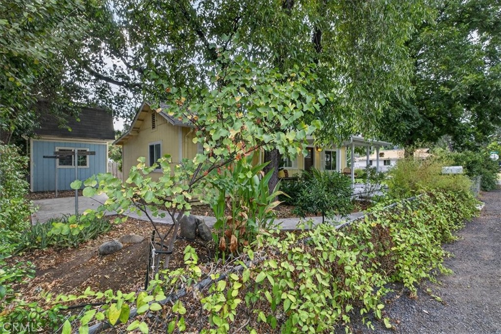 1381 Davis Property Photo 44