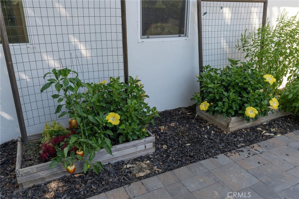 1941 Waxwing Way Property Photo 47