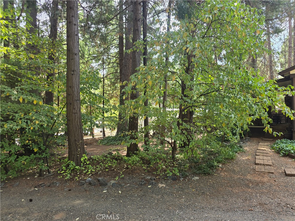 14837 Wood Property Photo 33