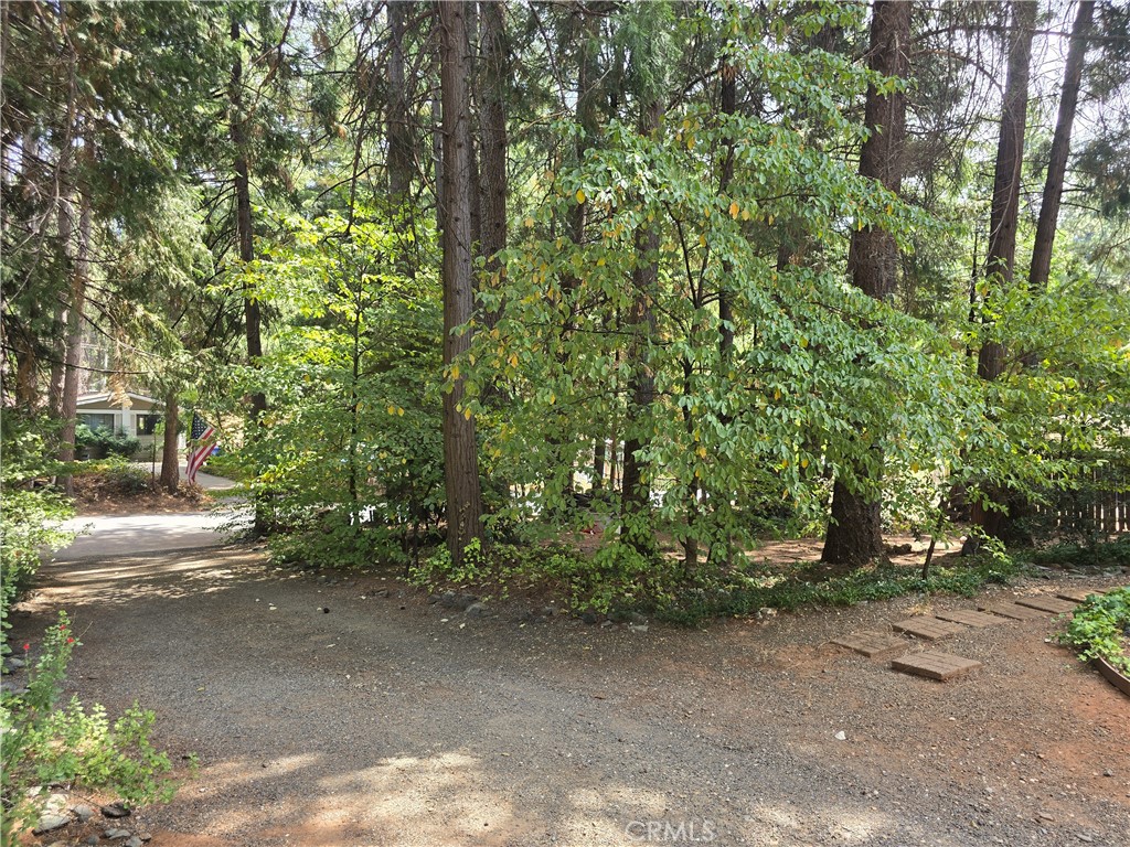 14837 Wood Property Photo 34