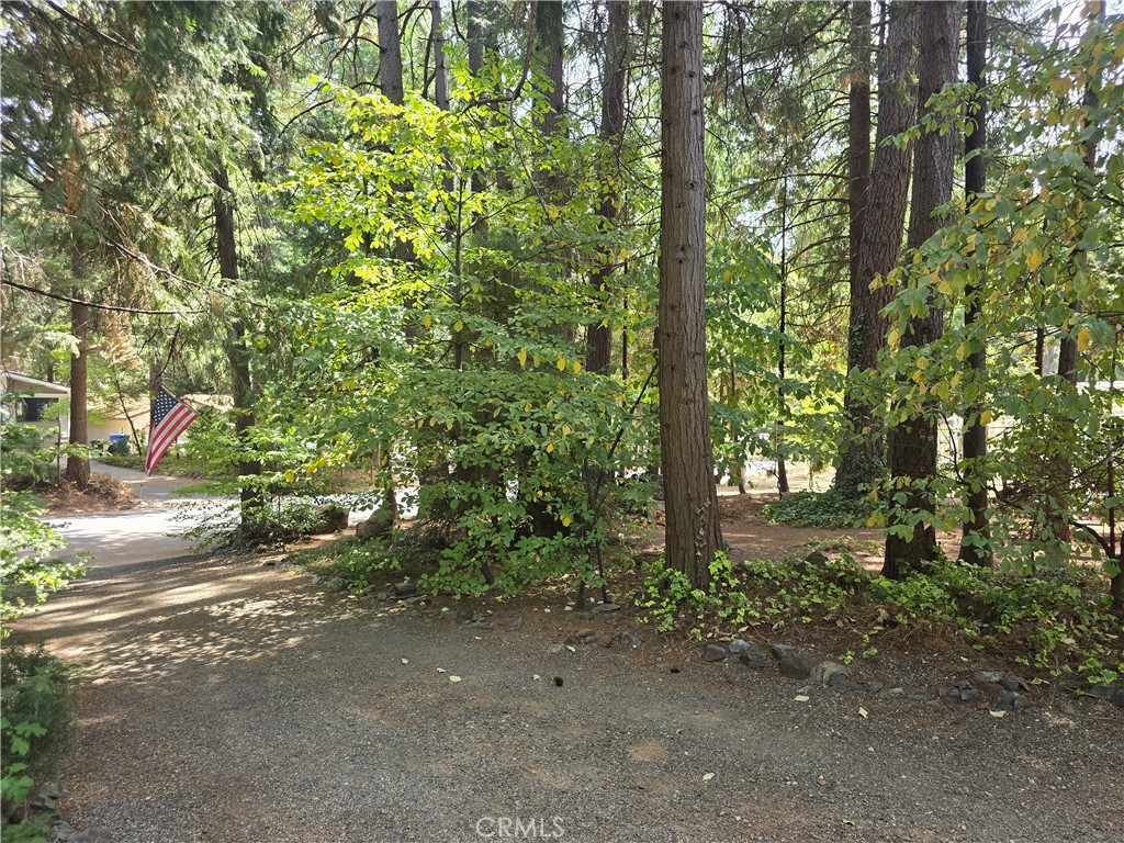 14837 Wood Property Photo 35