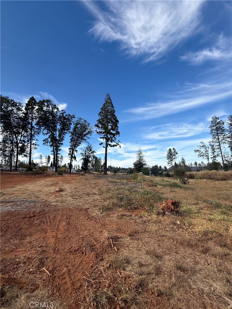 1346 Wagstaff Property Photo 4