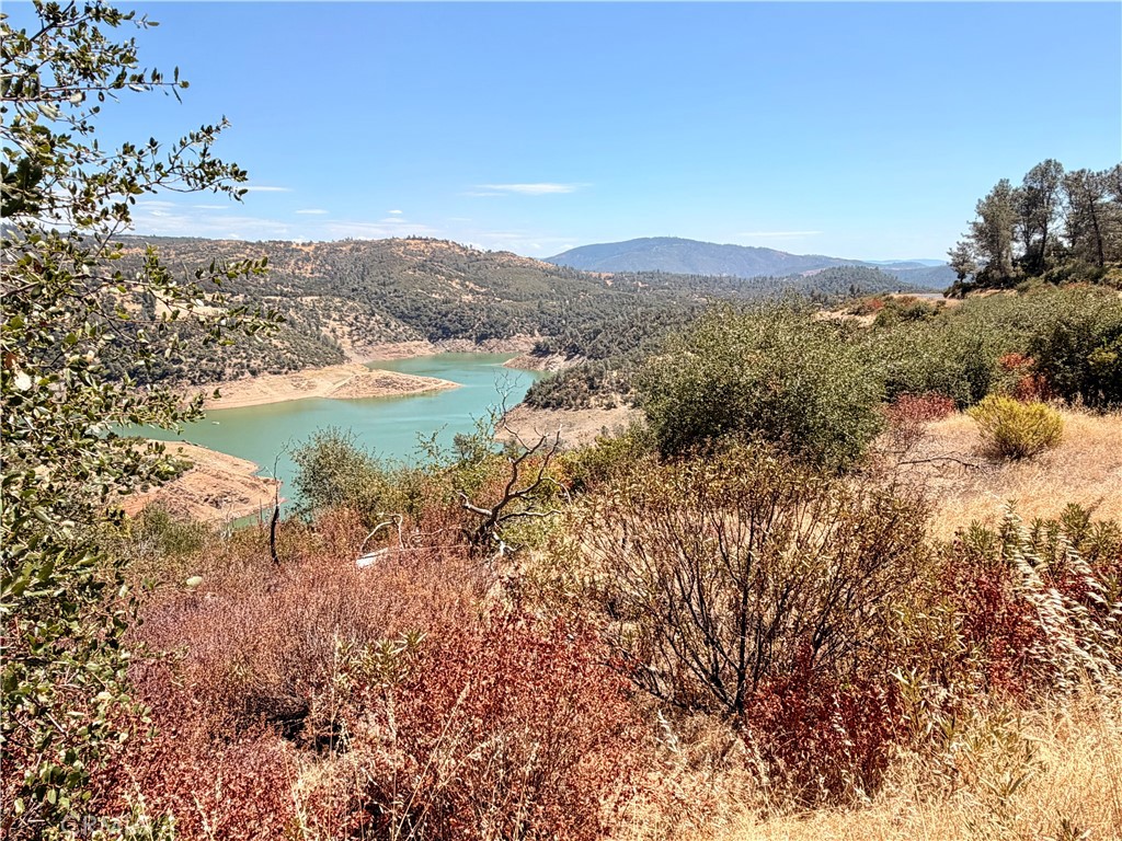 0 Pentz And Silvera Property Photo 4