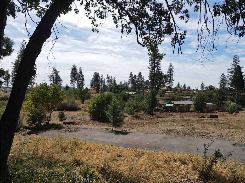 6774 Indian Property Photo 3