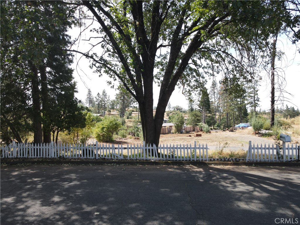 6774 Indian Property Photo 9
