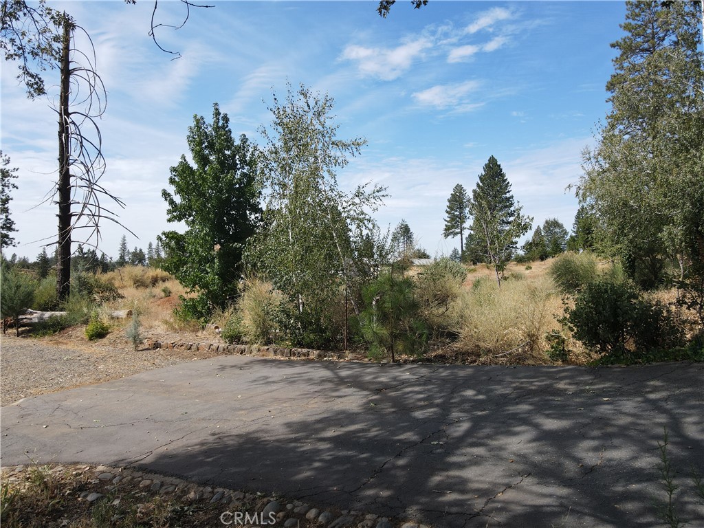 6774 Indian Property Photo 11