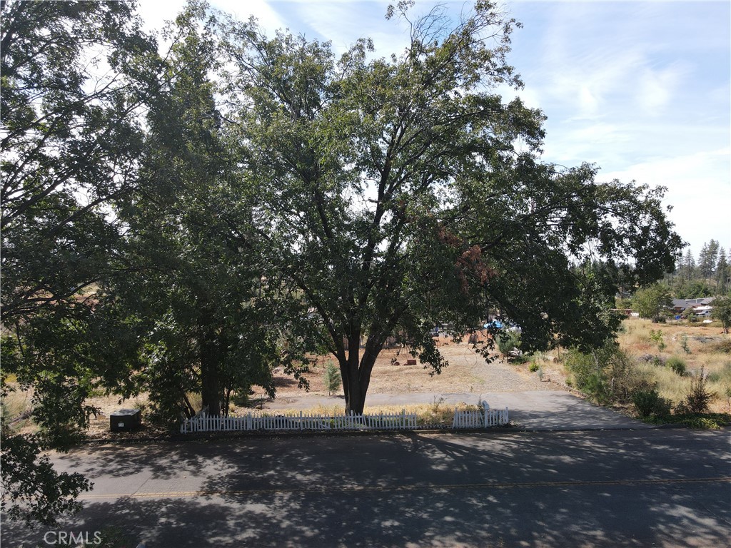 6774 Indian Property Photo 20