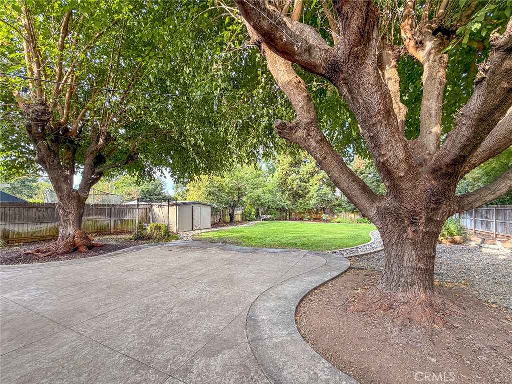 951 Madrone Property Photo 29