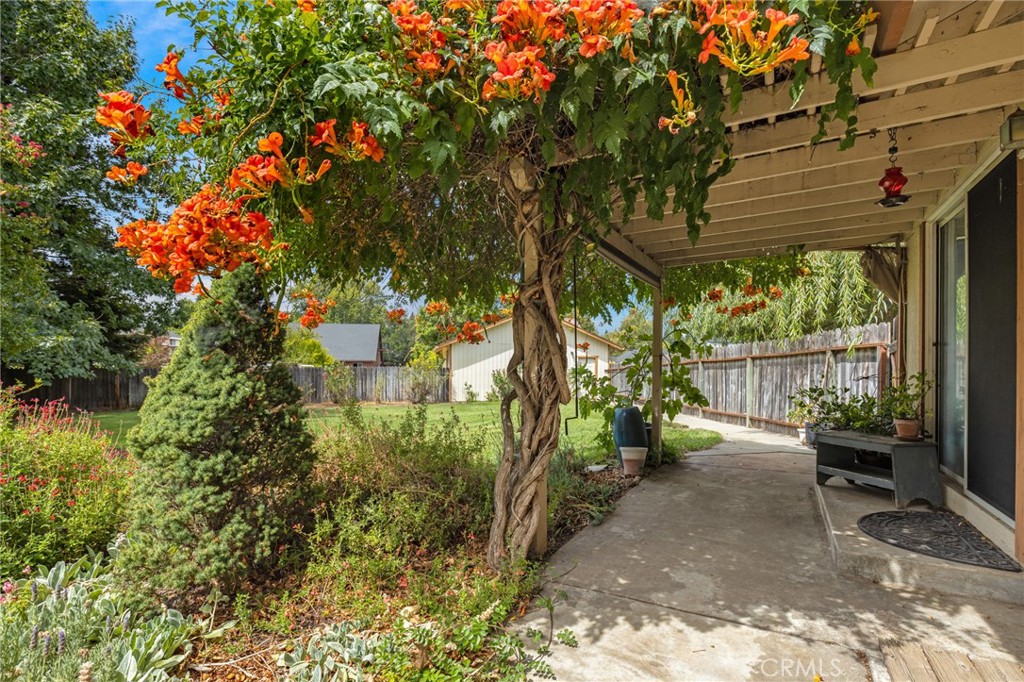 4025 Rio Bravo Drive Property Photo 37