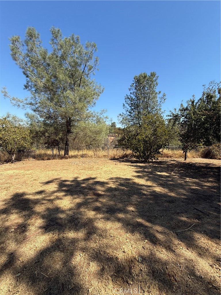 2537 Oro Quincy Highway Property Photo 23