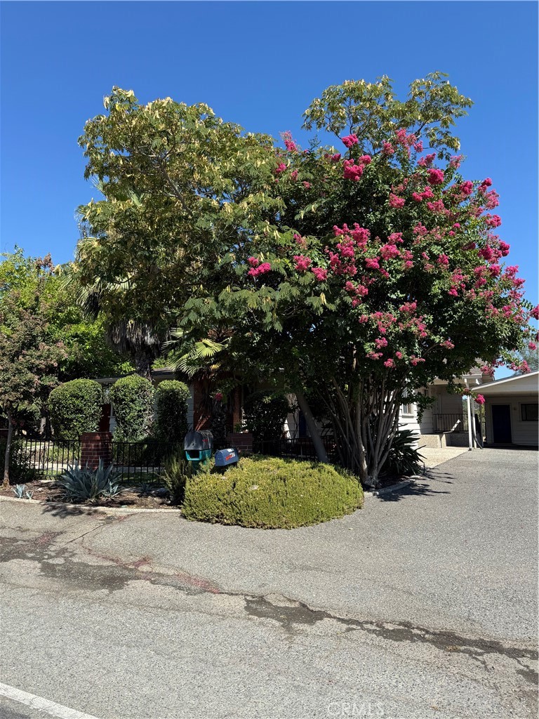 2537 Oro Quincy Highway Property Photo 27