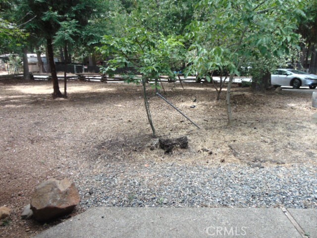 14800 Wildlife Property Photo 4