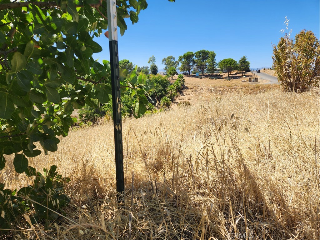 7116 Weatherby Property Photo 1