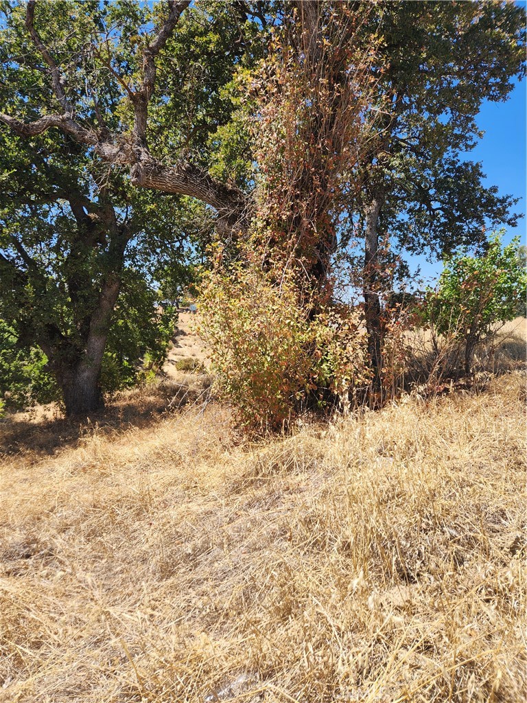 7116 Weatherby Property Photo 2