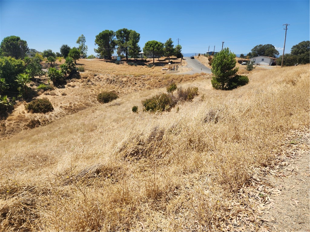 7116 Weatherby Property Photo 3
