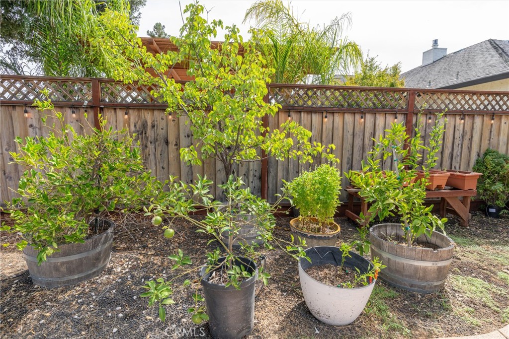 1464 Lucy Property Photo 40