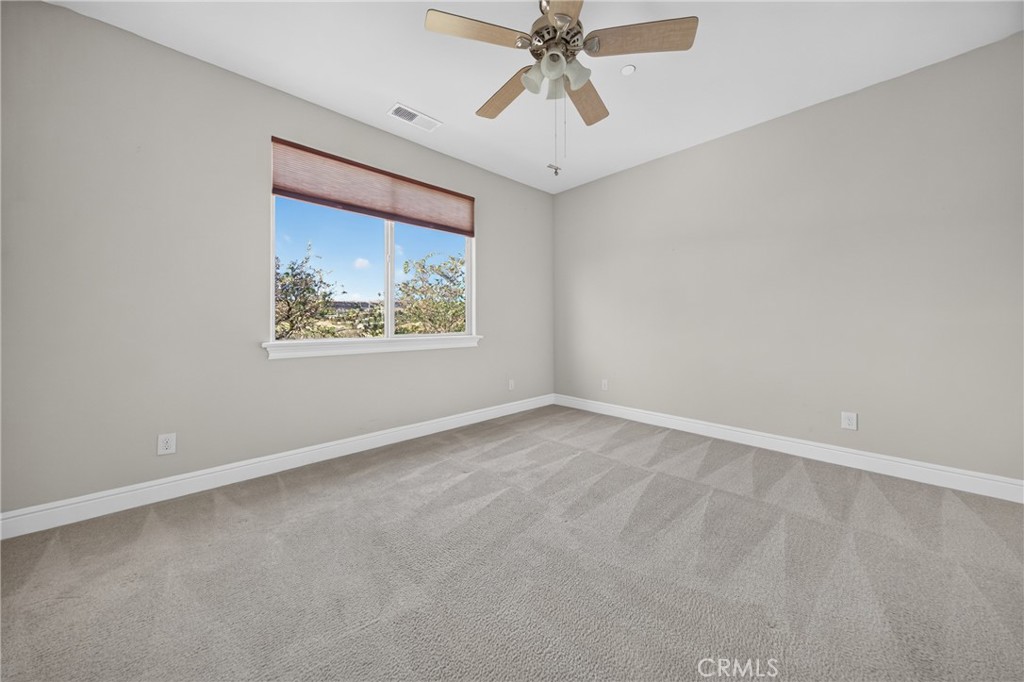 3454 Shallow Springs Property Photo 41