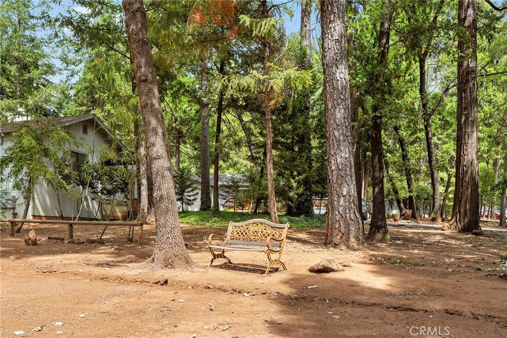14043 Creston Road Property Photo 46