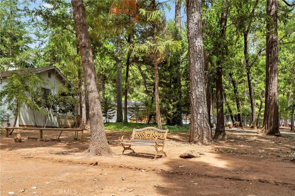 14043 Creston Road Property Photo 46