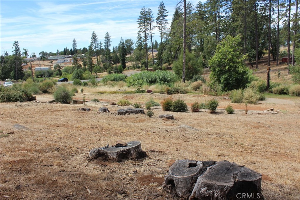 1289 Pearson Property Photo 4