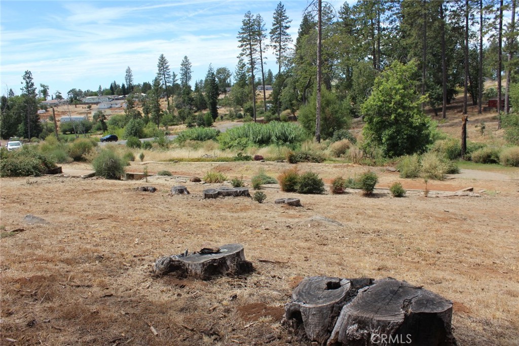 1289 Pearson Property Photo 4
