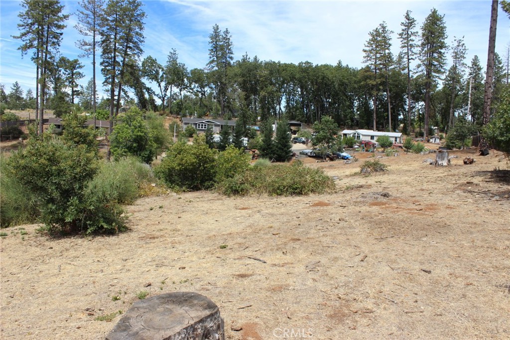 1289 Pearson Property Photo 7