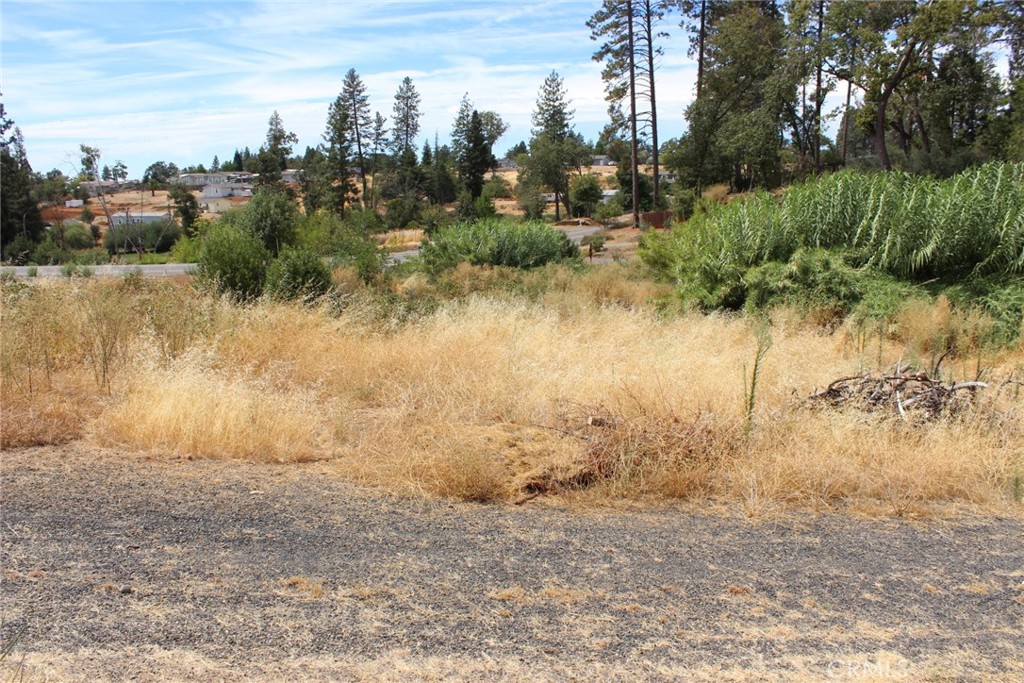 1289 Pearson Property Photo 13