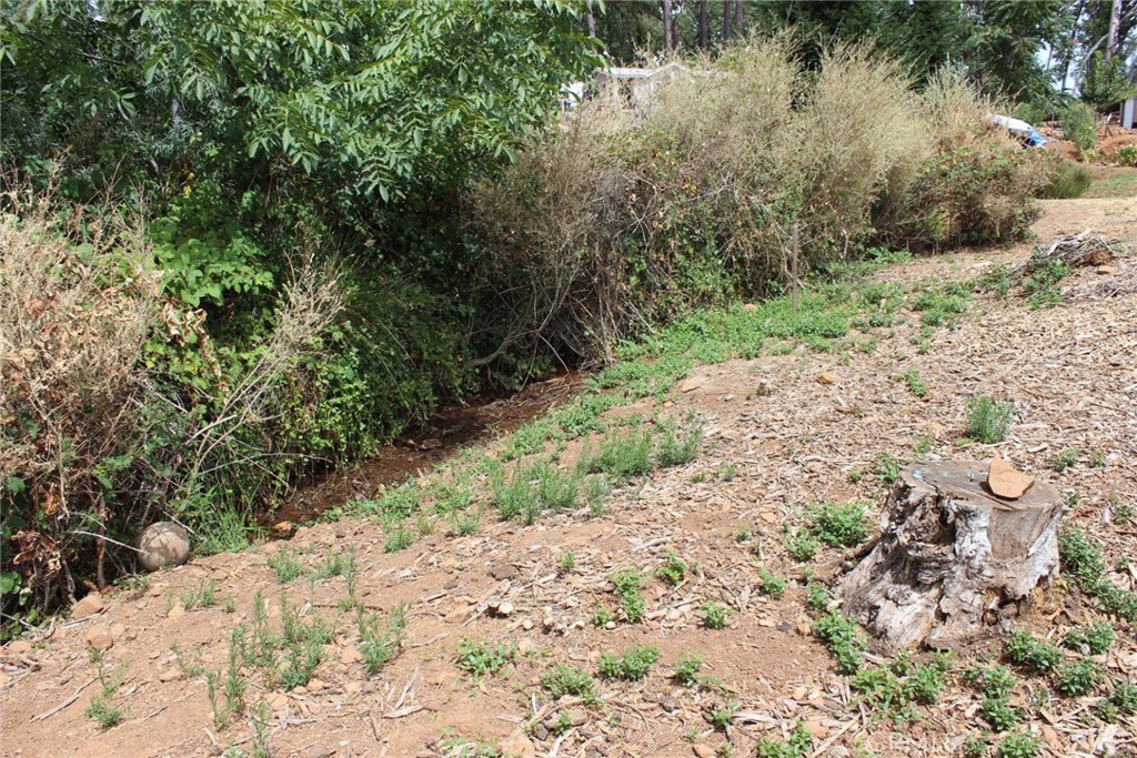 1289 Pearson Property Photo 15