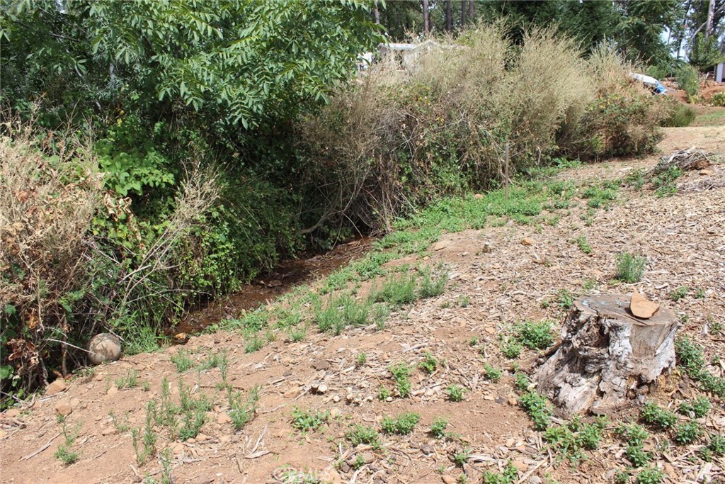 1289 Pearson Property Photo 15
