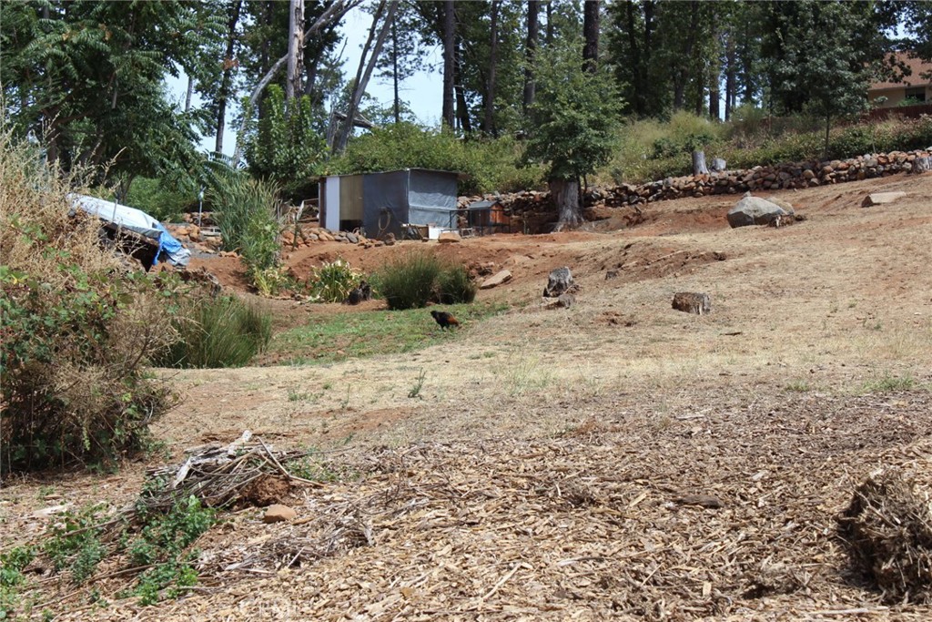 1289 Pearson Property Photo 16