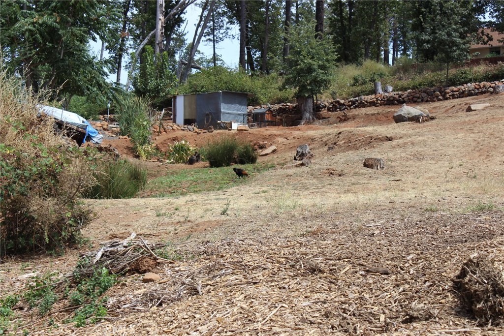 1289 Pearson Property Photo 16