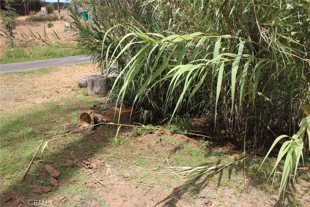 1289 Pearson Property Photo 17