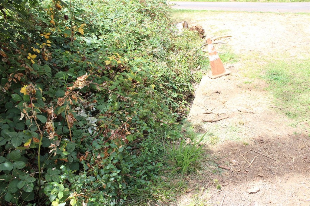 1289 Pearson Property Photo 18