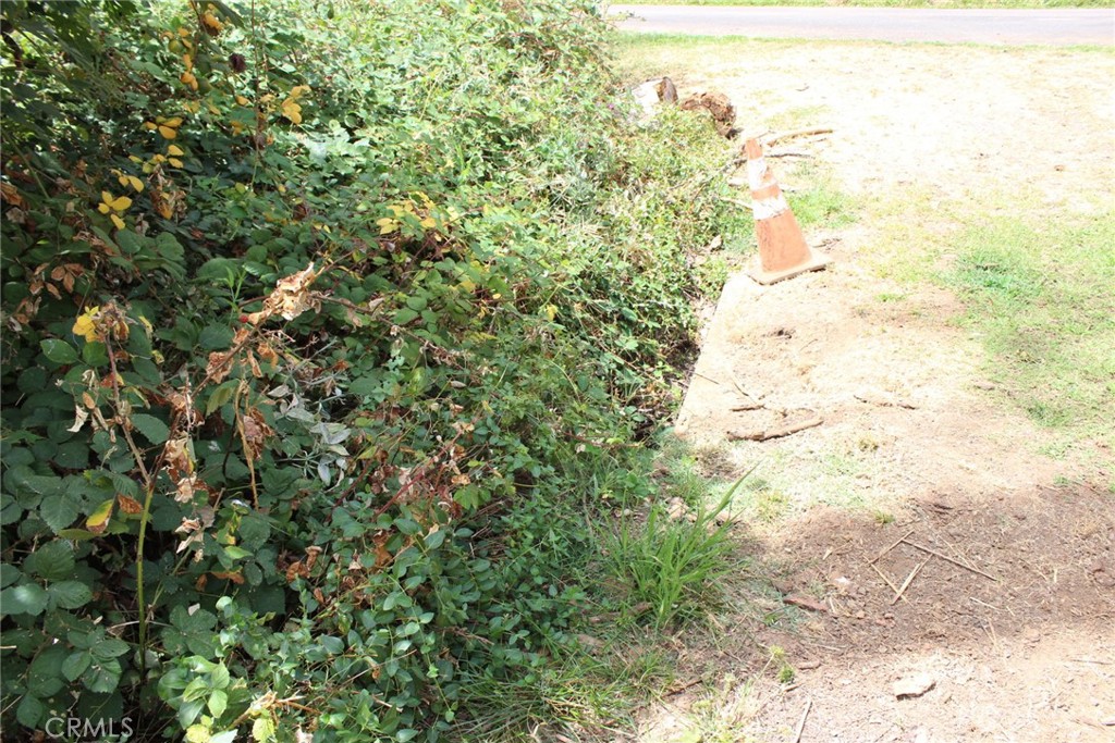 1289 Pearson Property Photo 18