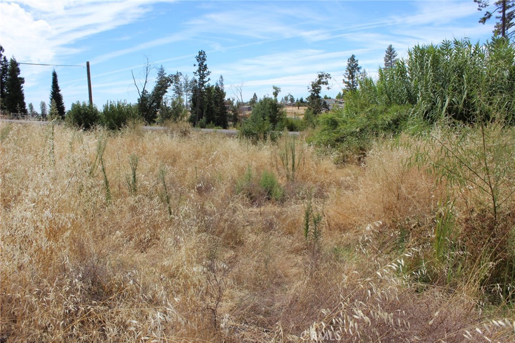 1289 Pearson Property Photo 19