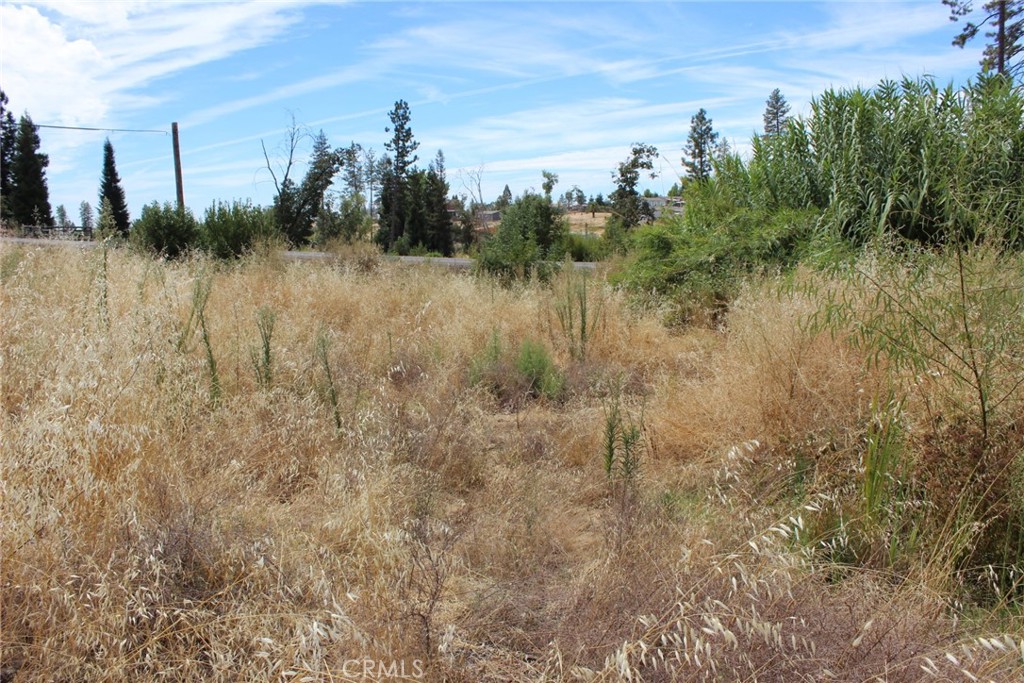 1289 Pearson Property Photo 19