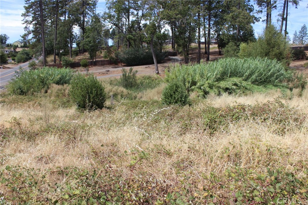 1289 Pearson Property Photo 20