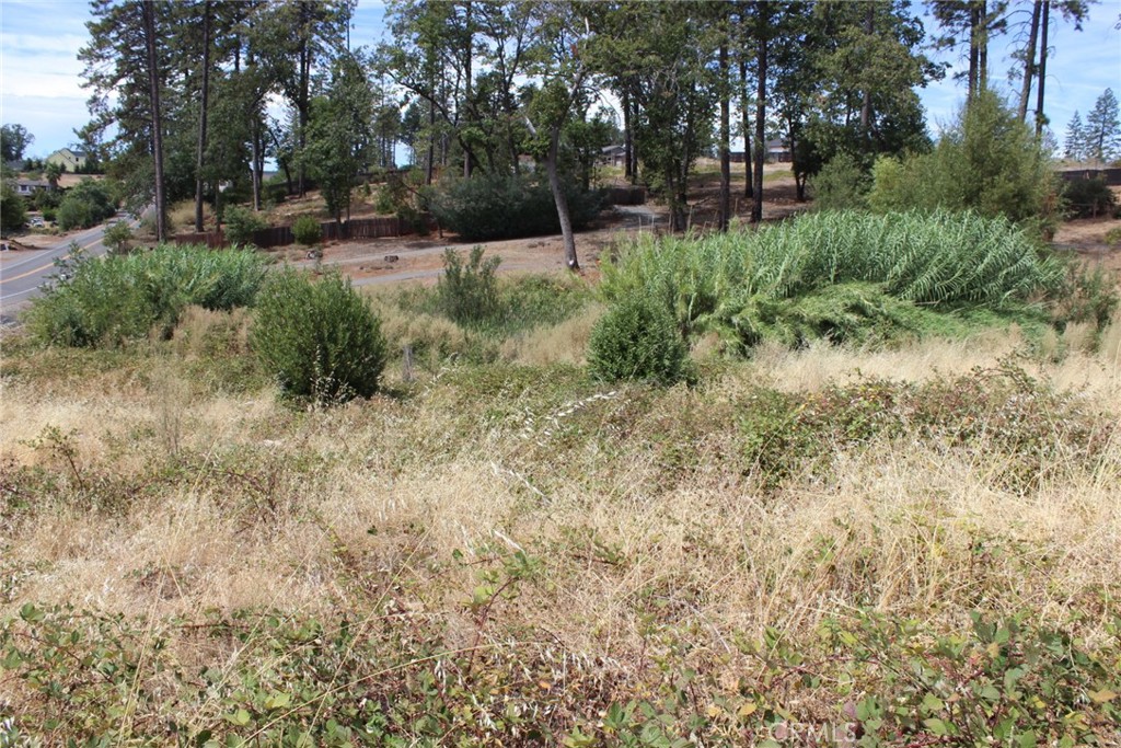 1289 Pearson Property Photo 20