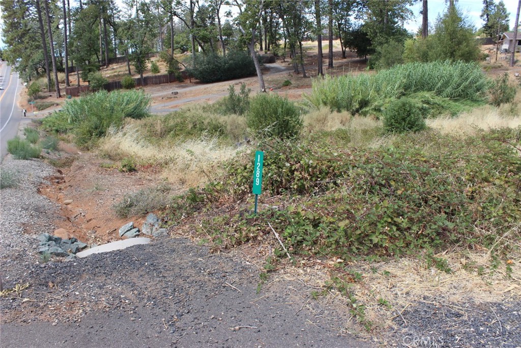 1289 Pearson Property Photo 21