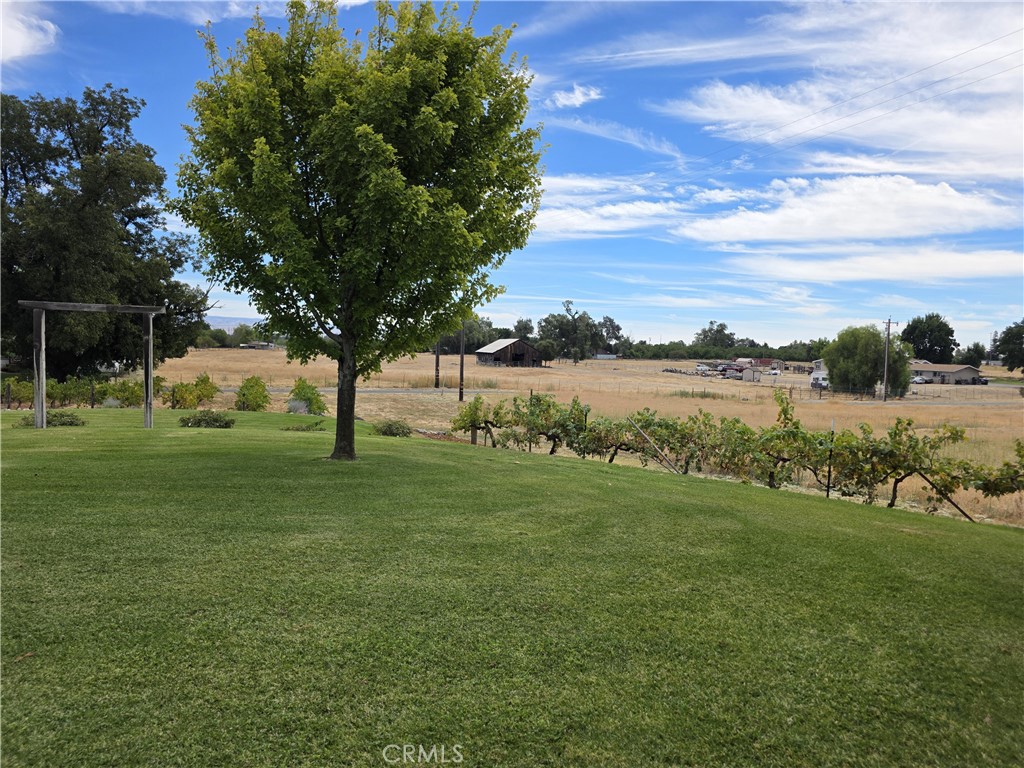 6271 San Diego Ave Property Photo 43