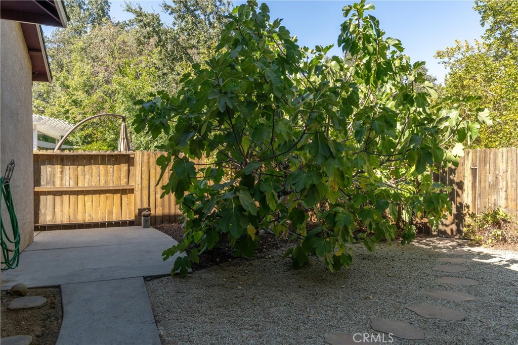 122 Secluded Oaks Court Property Photo 46
