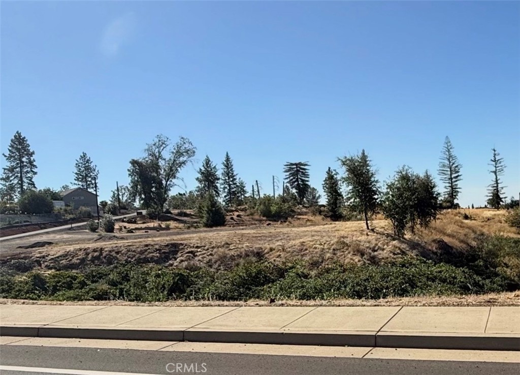 0 Pearson Property Photo 2