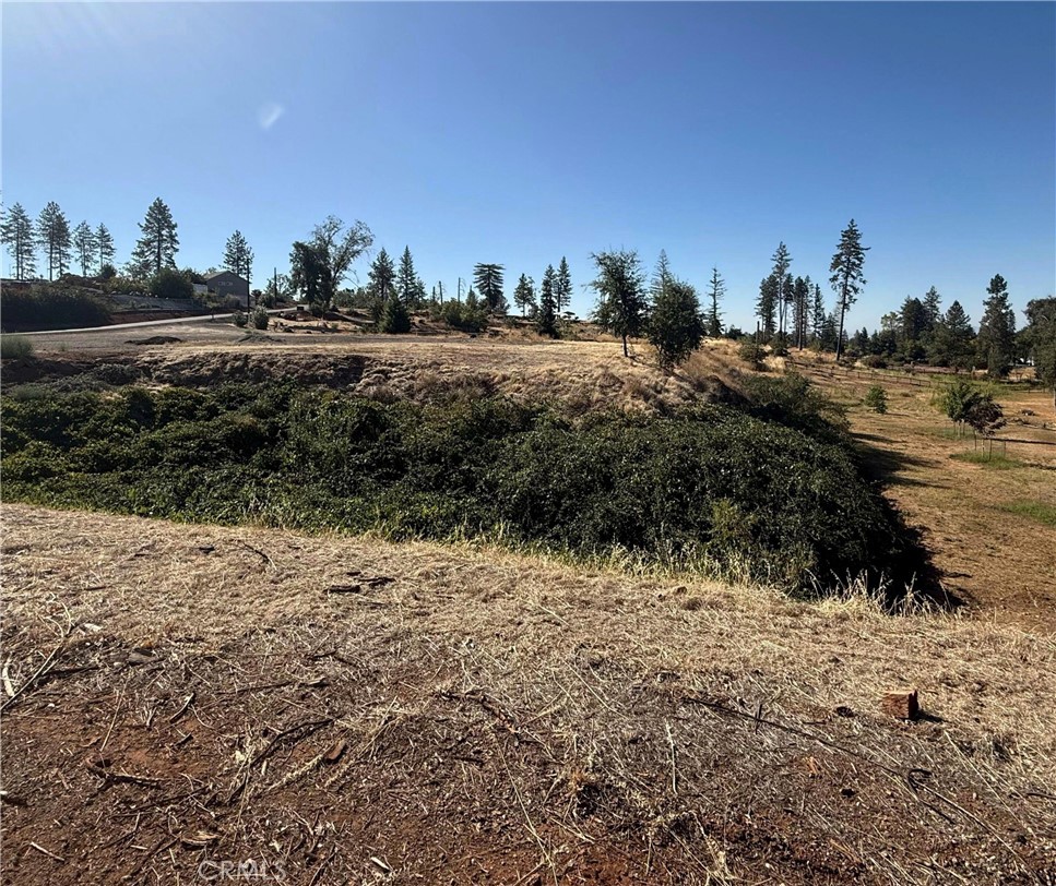 0 Pearson Property Photo 7