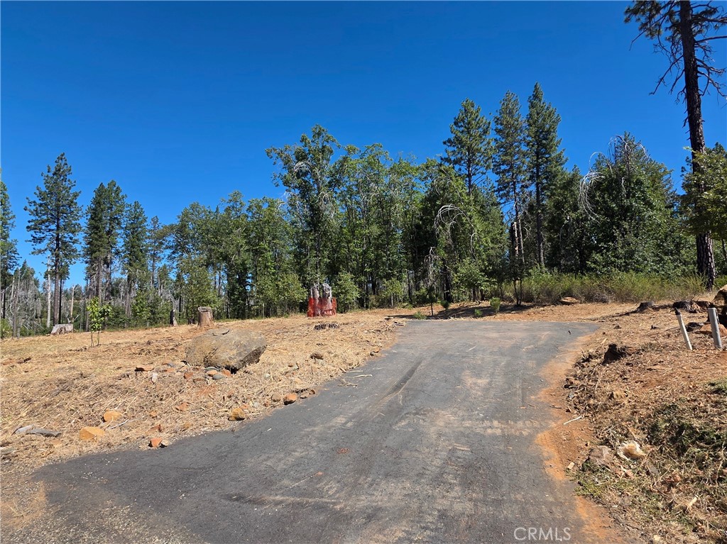 6187 Linda Lee Court Property Photo 1