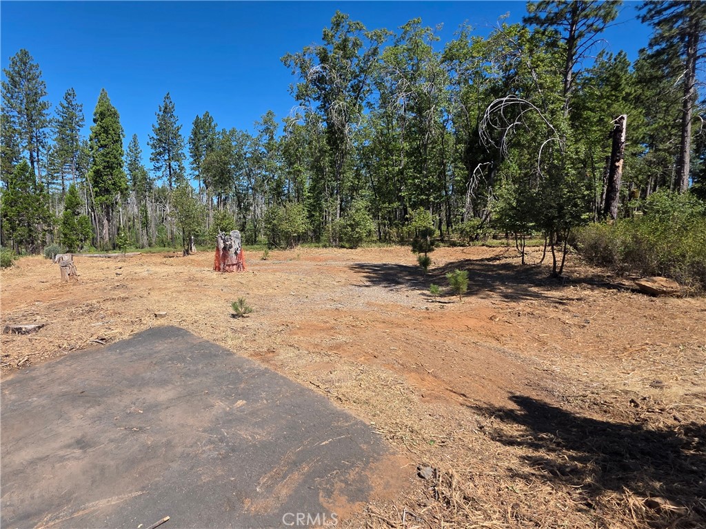 6187 Linda Lee Court Property Photo 2