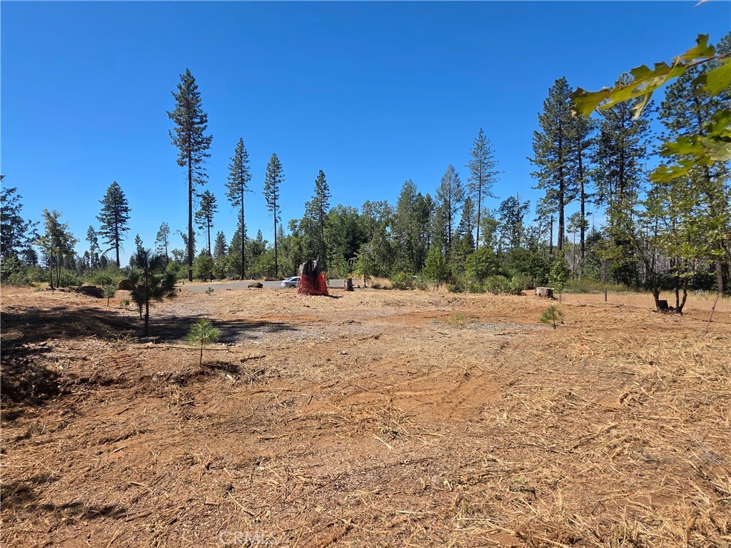 6187 Linda Lee Court Property Photo 3