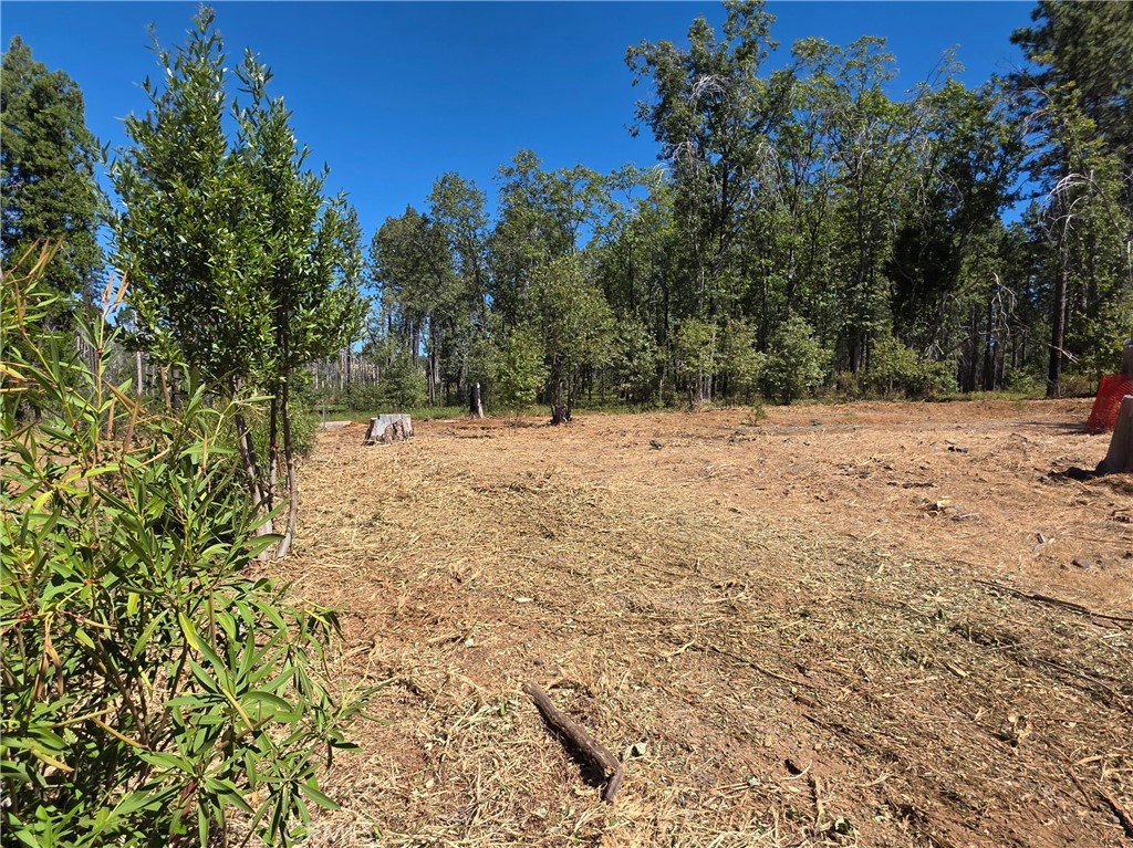 6187 Linda Lee Court Property Photo 6
