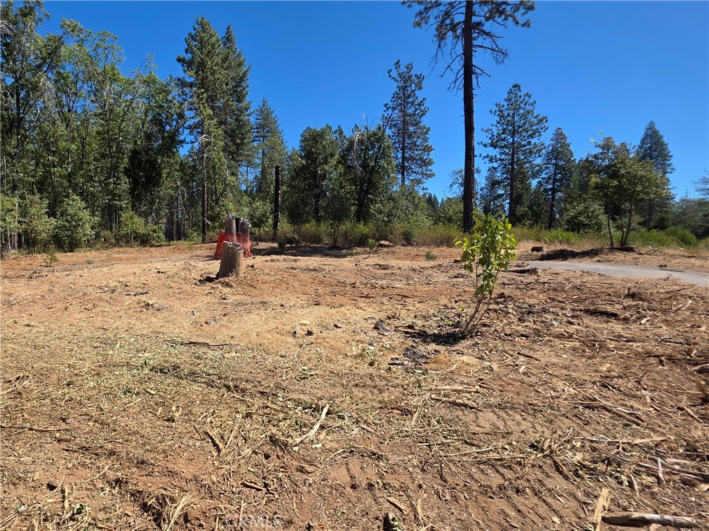 6187 Linda Lee Court Property Photo 7