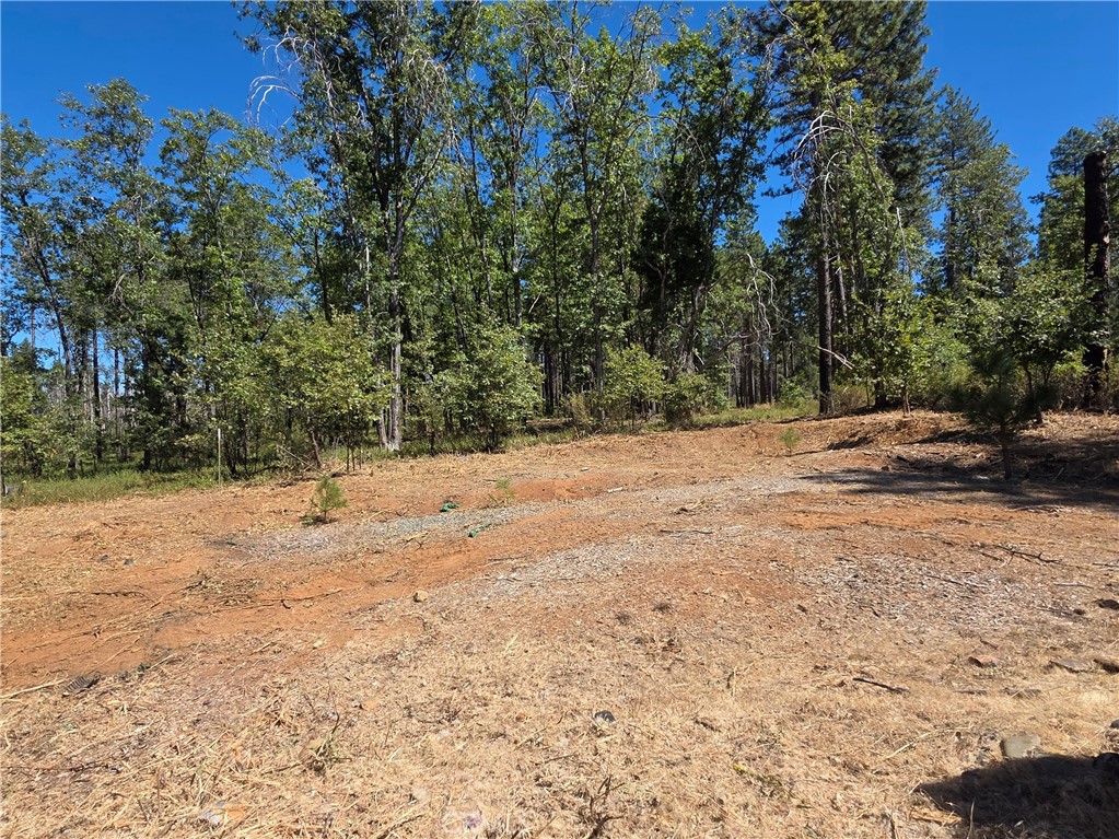 6187 Linda Lee Court Property Photo 8