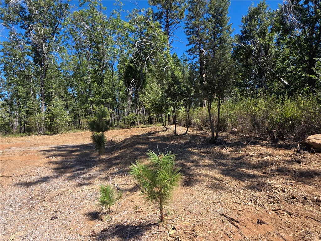 6187 Linda Lee Court Property Photo 10